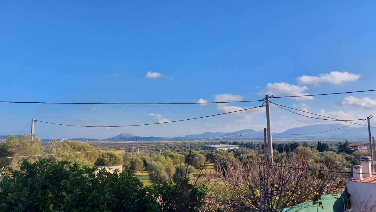 Makarios Apartment Near Athens Aiport Spáta 외부 사진